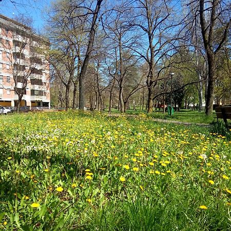 B&B Wiligelmo Intero Appartamento Con Colazione Inclusa Modena Eksteriør bilde